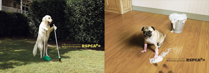 RSPCA